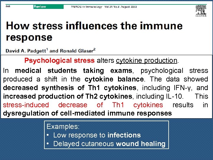Psychological stress alters cytokine production. In medical students taking exams, psychological stress produced a