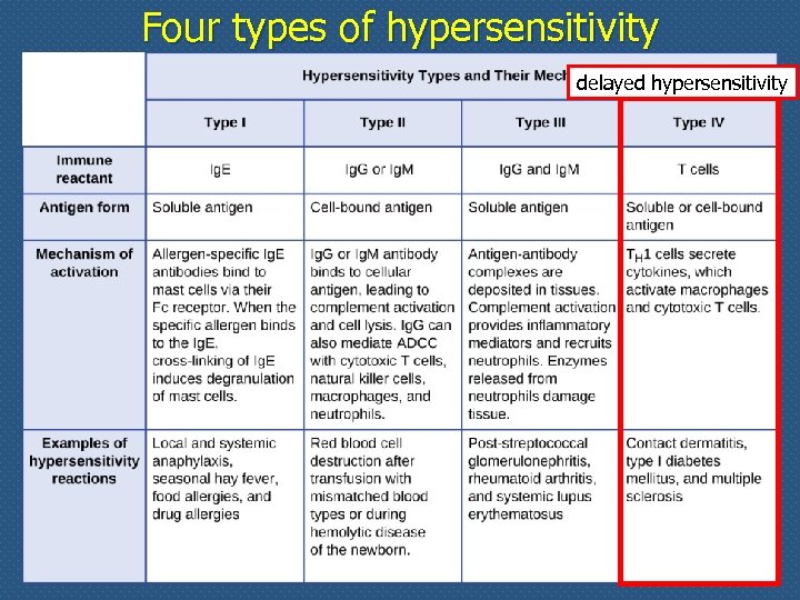 Four types of hypersensitivity delayed hypersensitivity 