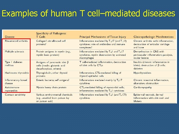 Examples of human T cell–mediated diseases 