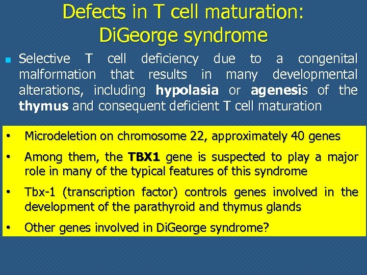 Defects in T cell maturation: Di. George syndrome n n • • Selective T