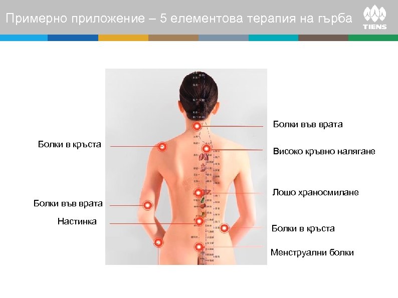 Примерно приложение – 5 елементова терапия на гърба Болки във врата Болки в кръста