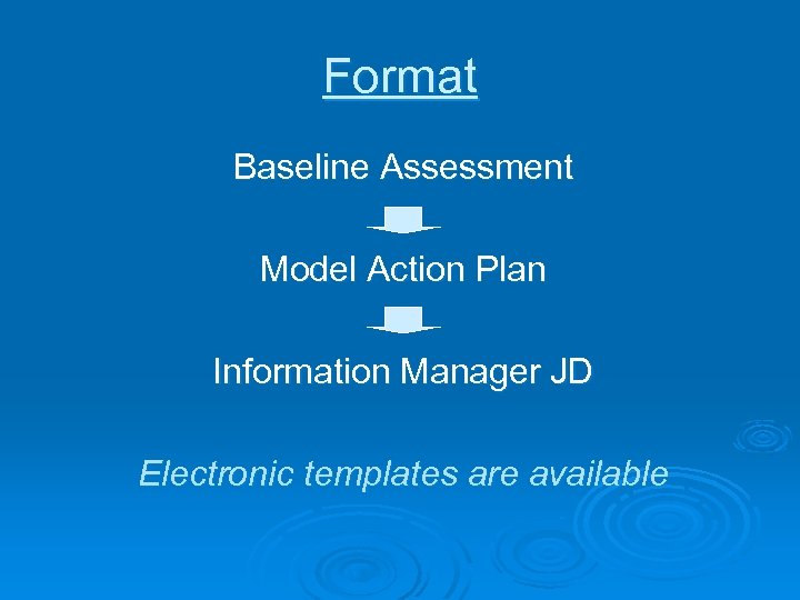 Format Baseline Assessment Model Action Plan Information Manager JD Electronic templates are available 