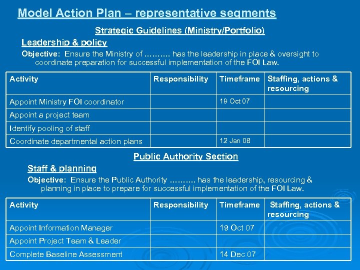 Model Action Plan – representative segments Strategic Guidelines (Ministry/Portfolio) Leadership & policy Objective: Ensure
