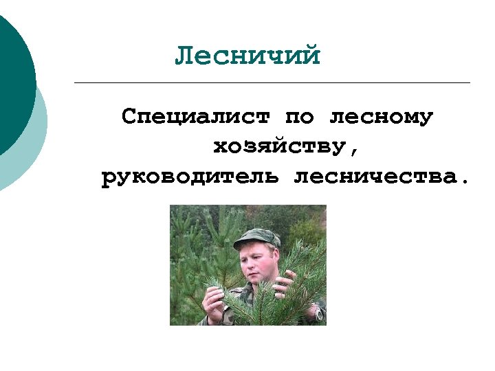 Лесничий Специалист по лесному хозяйству, руководитель лесничества. 