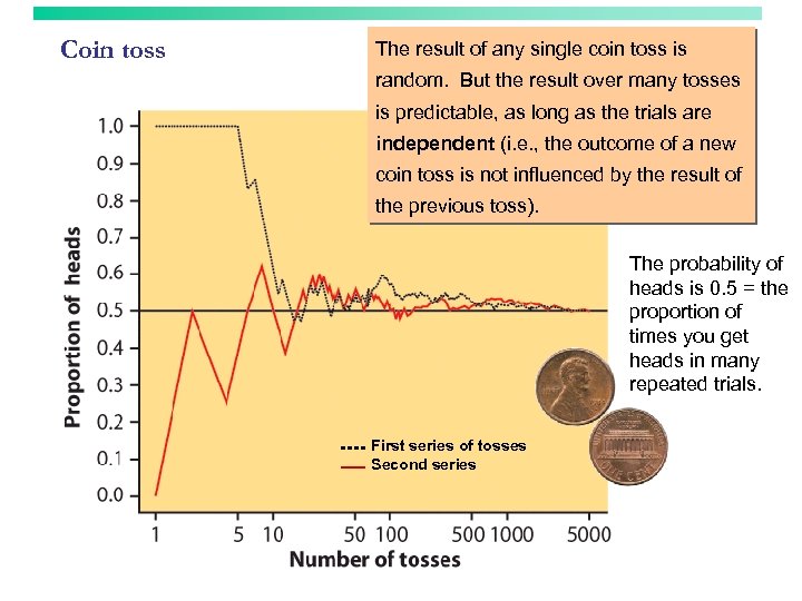 Coin toss The result of any single coin toss is random. But the result