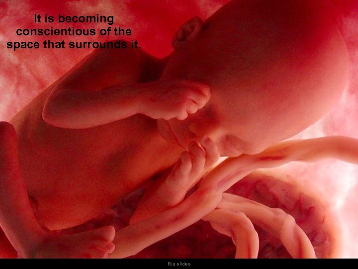 It is becoming conscientious of the space that surrounds it. Ria slides 