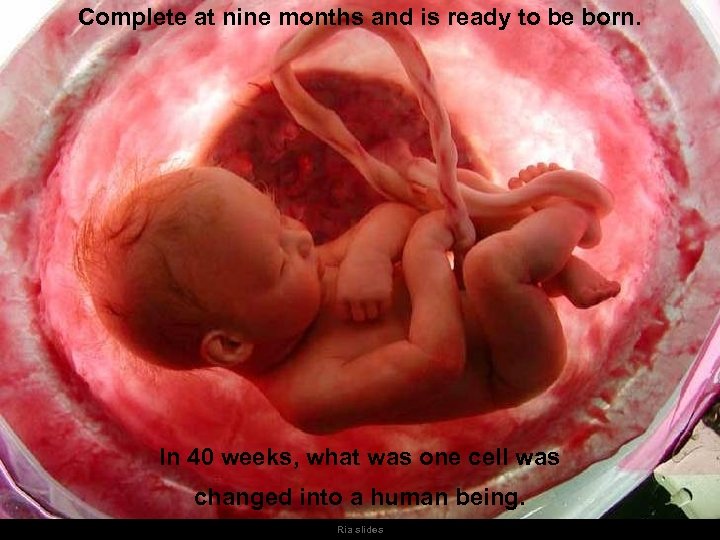 Complete at nine months and is ready to be born. In 40 weeks, what
