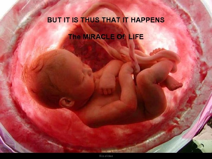 BUT IT IS THUS THAT IT HAPPENS The MIRACLE Of LIFE Ria slides 