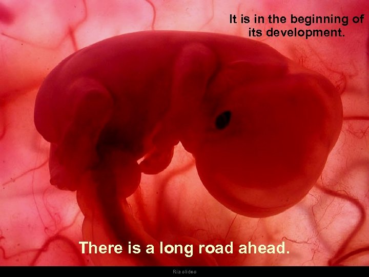 It is in the beginning of its development. There is a long road ahead.