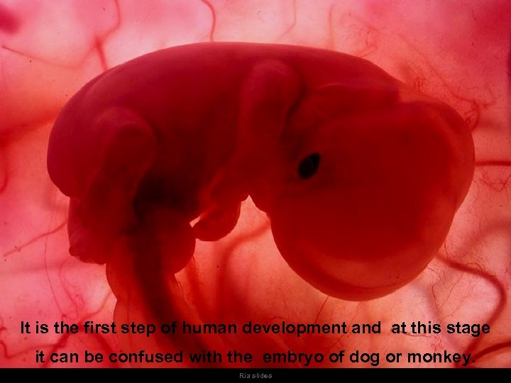 It is the first step of human development and at this stage it can