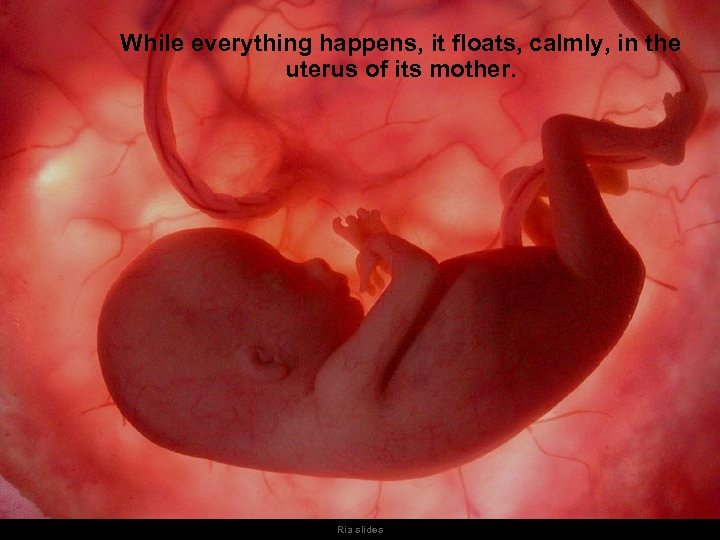 While everything happens, it floats, calmly, in the uterus of its mother. Ria slides