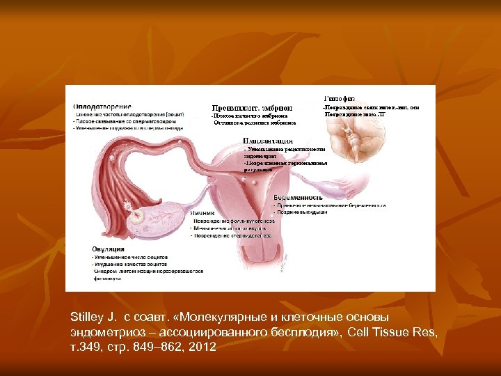 Stilley J. с соавт. «Молекулярные и клеточные основы эндометриоз – ассоциированного бесплодия» , Cell