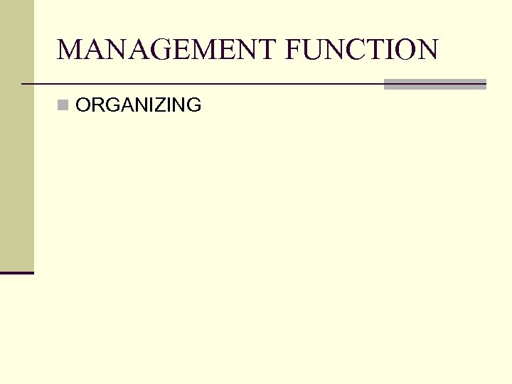 MANAGEMENT FUNCTION n ORGANIZING 