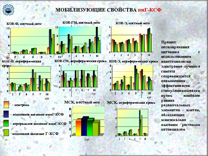 МОБИЛИЗУЮЩИЕ СВОЙСТВА им. Г-КСФ КОЕ-Ф, костный мозг КОЕ-ГМ, костный мозг КОЕ-Э, костный мозг Процесс