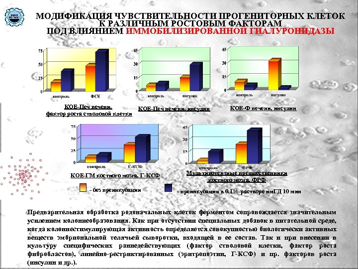 МОДИФИКАЦИЯ ЧУВСТВИТЕЛЬНОСТИ ПРОГЕНИТОРНЫХ КЛЕТОК К РАЗЛИЧНЫМ РОСТОВЫМ ФАКТОРАМ ПОД ВЛИЯНИЕМ ИММОБИЛИЗИРОВАННОЙ ГИАЛУРОНИДАЗЫ КОЕ-Печ печени,