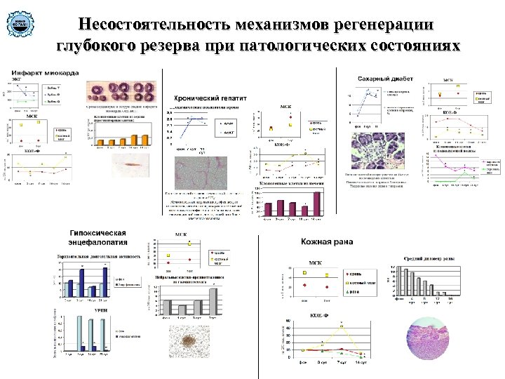 Несостоятельность механизмов регенерации глубокого резерва при патологических состояниях 