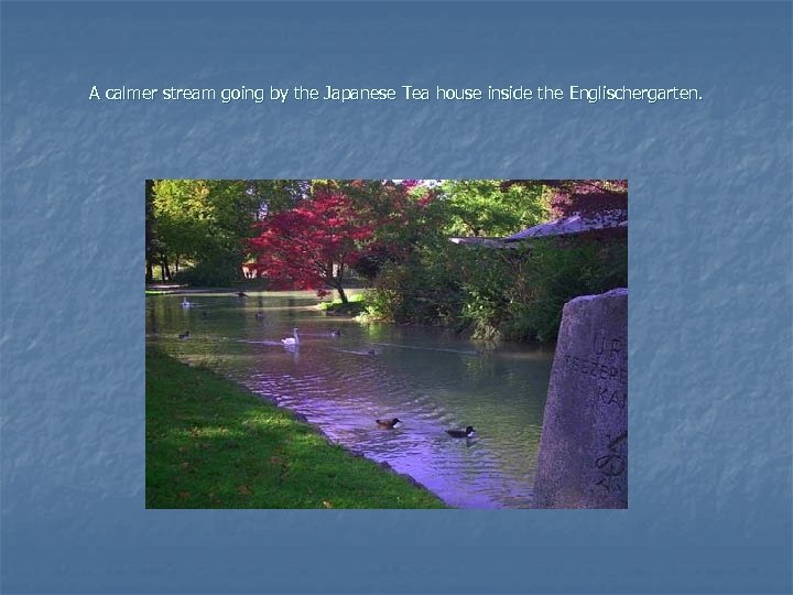A calmer stream going by the Japanese Tea house inside the Englischergarten. 