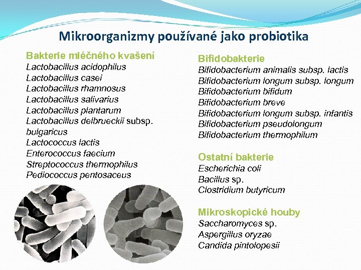Mikroorganizmy používané jako probiotika Bakterie mléčného kvašení Lactobacillus acidophilus Lactobacillus casei Lactobacillus rhamnosus Lactobacillus