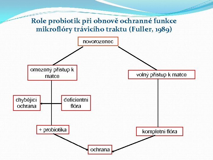 Role probiotik při obnově ochranné funkce mikroflóry trávicího traktu (Fuller, 1989) novorozenec omezený přístup