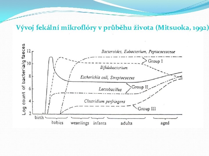 Vývoj fekální mikroflóry v průběhu života (Mitsuoka, 1992) 