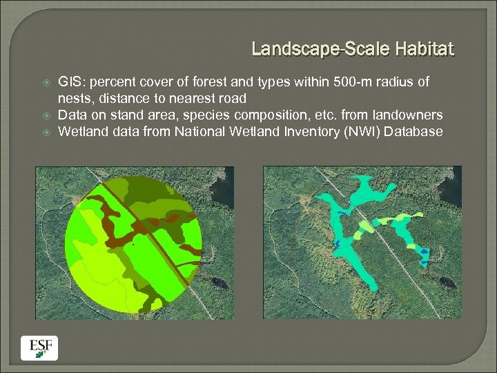 Landscape-Scale Habitat GIS: percent cover of forest and types within 500 -m radius of