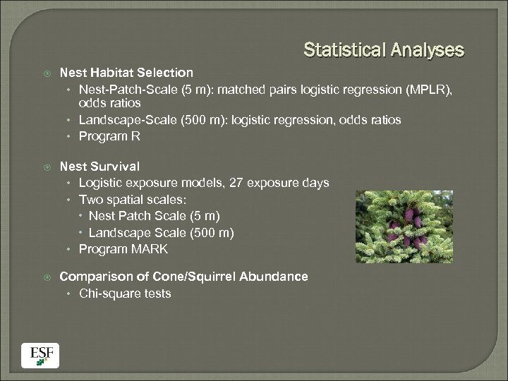 Statistical Analyses Nest Habitat Selection • Nest-Patch-Scale (5 m): matched pairs logistic regression (MPLR),