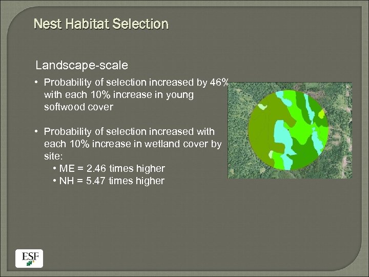 Nest Habitat Selection Landscape-scale • Probability of selection increased by 46% with each 10%