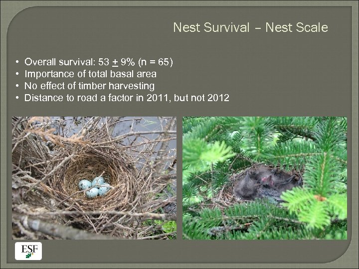 Nest Survival – Nest Scale • • Overall survival: 53 + 9% (n =