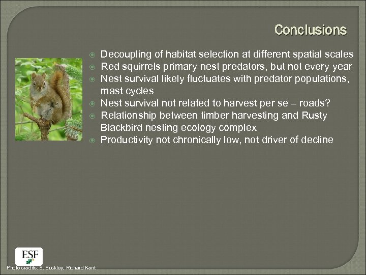 Conclusions Photo credits: S. Buckley, Richard Kent Decoupling of habitat selection at different spatial