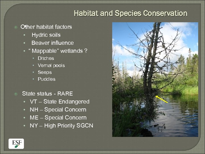 Habitat and Species Conservation • Other habitat factors • Hydric soils • Beaver influence