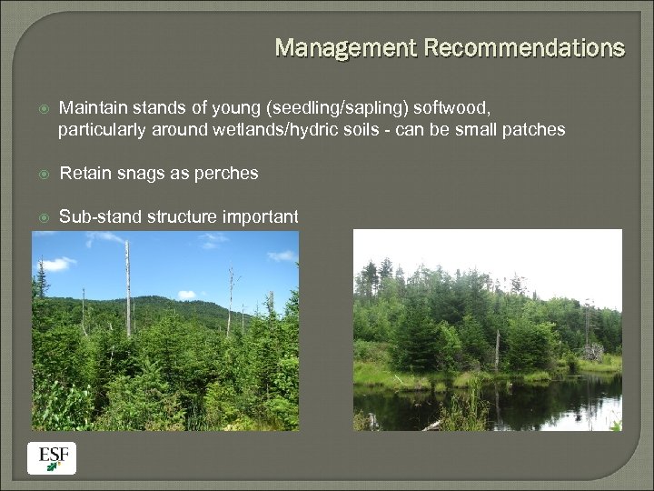 Management Recommendations Maintain stands of young (seedling/sapling) softwood, particularly around wetlands/hydric soils - can