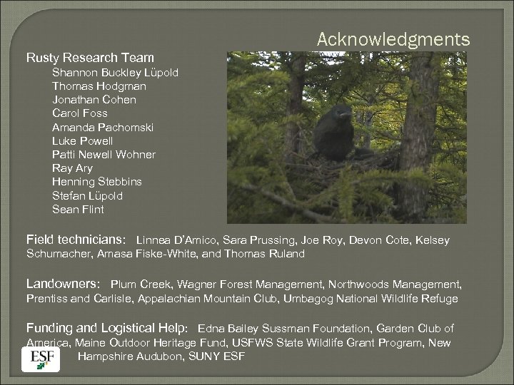 Rusty Research Team Acknowledgments Shannon Buckley Lüpold Thomas Hodgman Jonathan Cohen Carol Foss Amanda