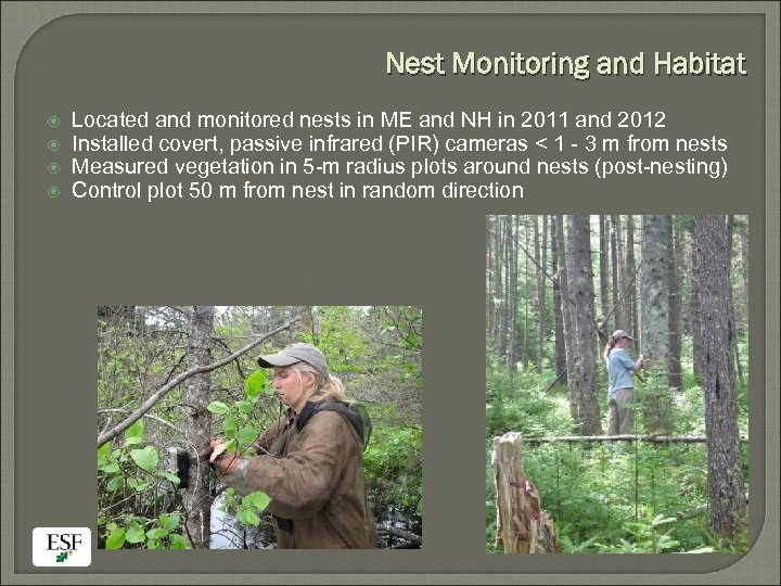 Nest Monitoring and Habitat Located and monitored nests in ME and NH in 2011