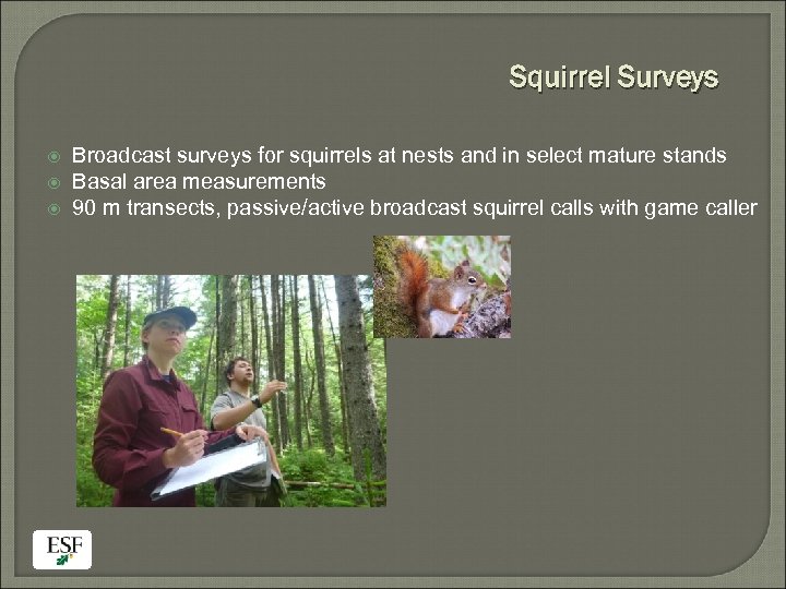 Squirrel Surveys Broadcast surveys for squirrels at nests and in select mature stands Basal