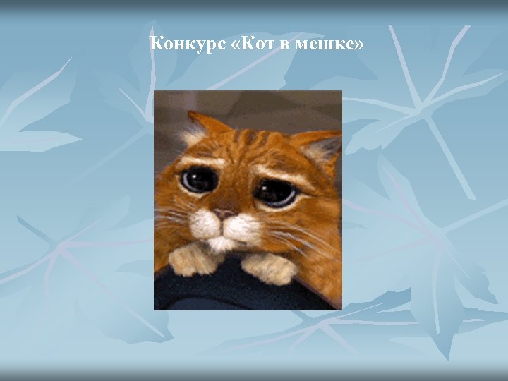  Конкурс «Кот в мешке» 