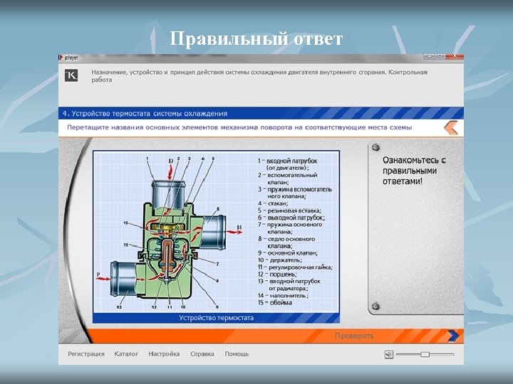 Правильный ответ 