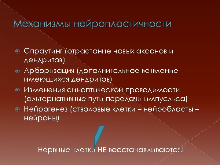 Механизмы нейропластичности Спраутинг (отрастание новых аксонов и дендритов) Арборизация (дополнительное ветвление имеющихся дендритов) Изменения