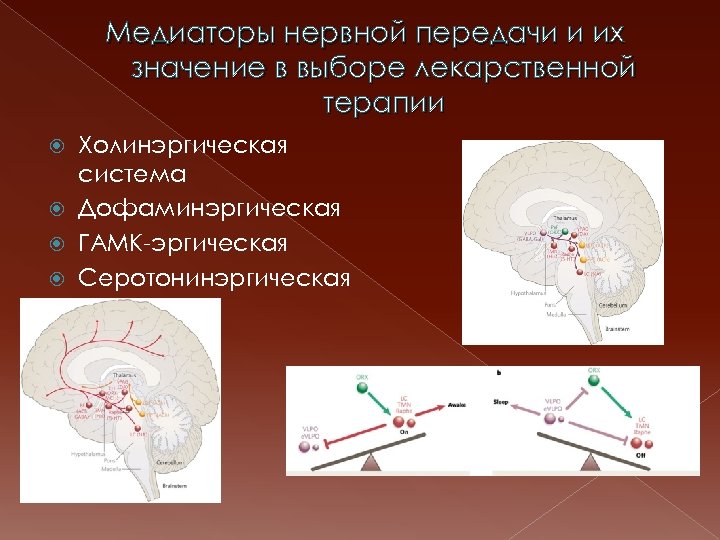 Медиаторы нервной передачи и их значение в выборе лекарственной терапии Холинэргическая система Дофаминэргическая ГАМК-эргическая