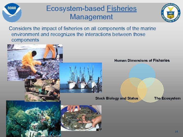 Ecosystem-based Fisheries Management Considers the impact of fisheries on all components of the marine