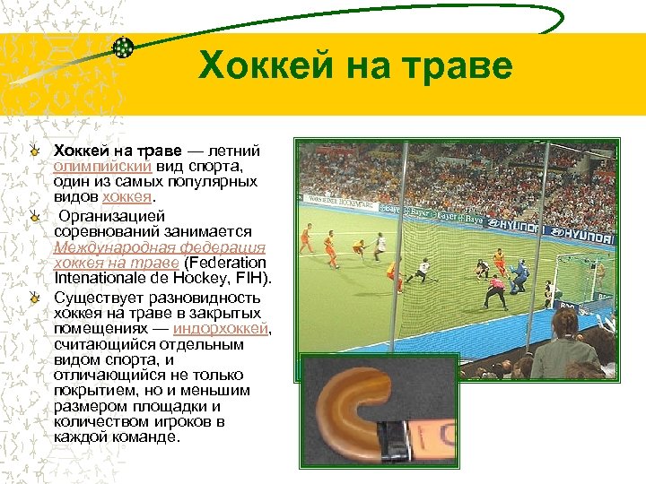 Хоккей на траве — летний олимпийский вид спорта, один из самых популярных видов хоккея.