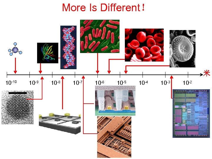 More Is Different！ 介观与生物的尺度关系图 紅血球 ~5 微米 DNA 蛋白 质 ~ 纳米 单一分子 约