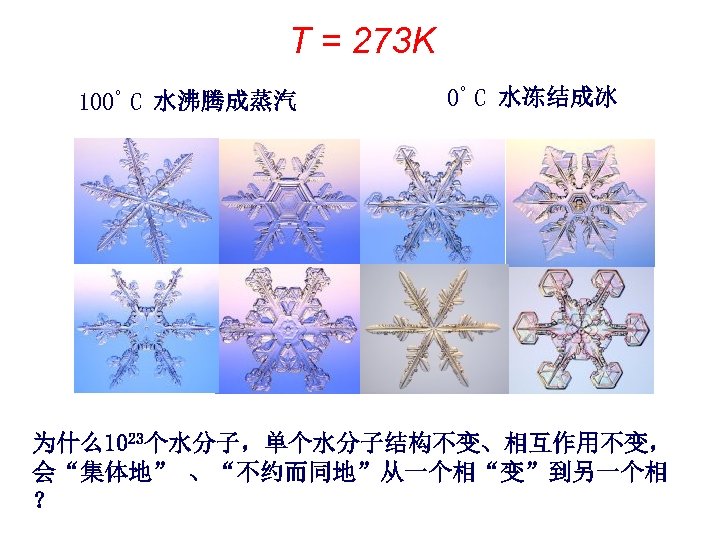 T = 273 K 100°C 水沸腾成蒸汽 0°C 水冻结成冰 为什么1023个水分子，单个水分子结构不变、相互作用不变， 会“集体地” 、“不约而同地”从一个相“变”到另一个相 ？ 