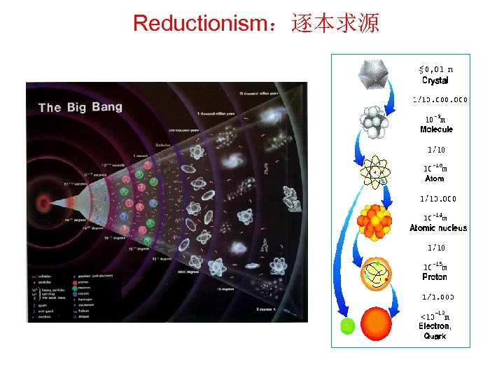 Reductionism：逐本求源 