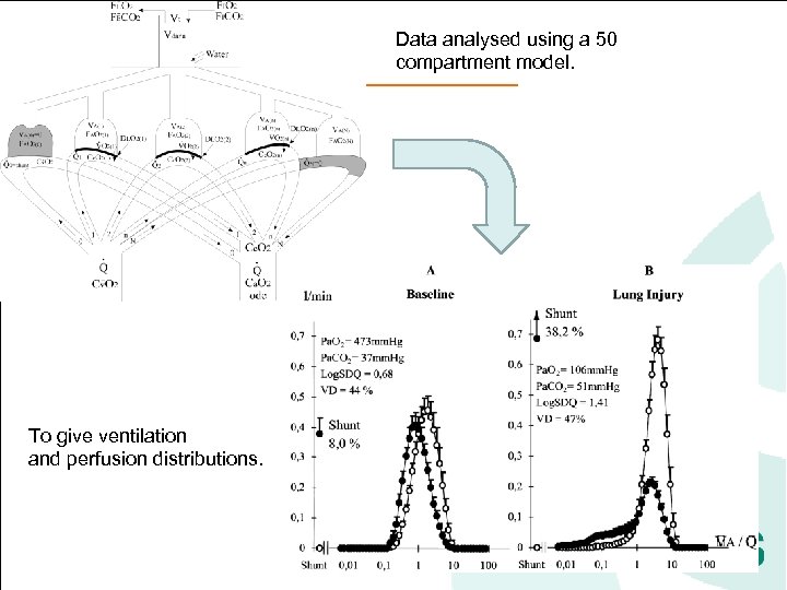 Data analysed using a 50 compartment model. To give ventilation and perfusion distributions. 