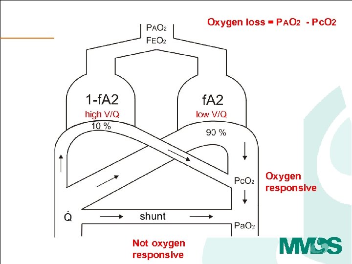 Oxygen loss = PAO 2 - Pc. O 2 high V/Q low V/Q Oxygen