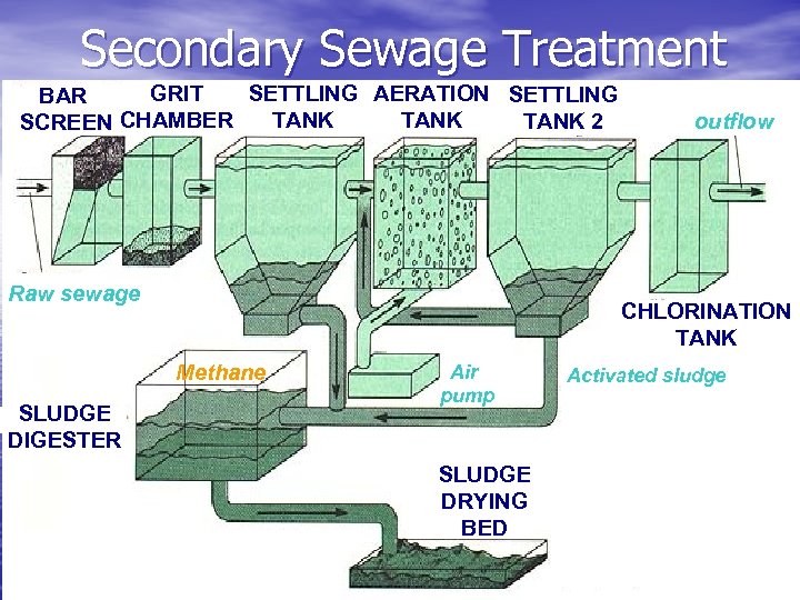 Sewage and Organic Wastes TREN 3 P 14