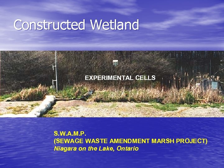 Constructed Wetland EXPERIMENTAL CELLS S. W. A. M. P. (SEWAGE WASTE AMENDMENT MARSH PROJECT)