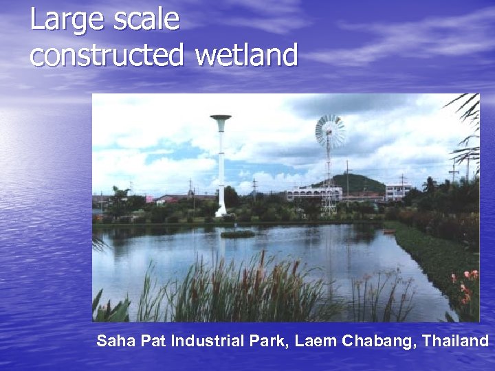 Large scale constructed wetland Saha Pat Industrial Park, Laem Chabang, Thailand 