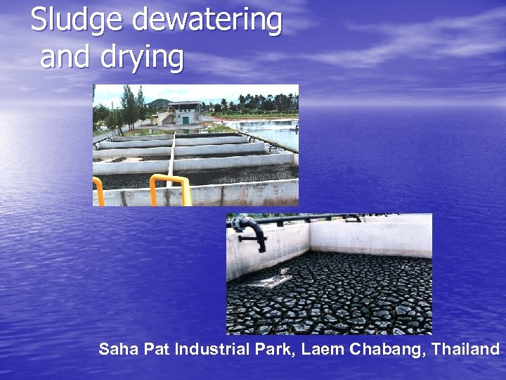 Sludge dewatering and drying Saha Pat Industrial Park, Laem Chabang, Thailand 