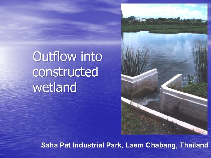 Outflow into constructed wetland Saha Pat Industrial Park, Laem Chabang, Thailand 